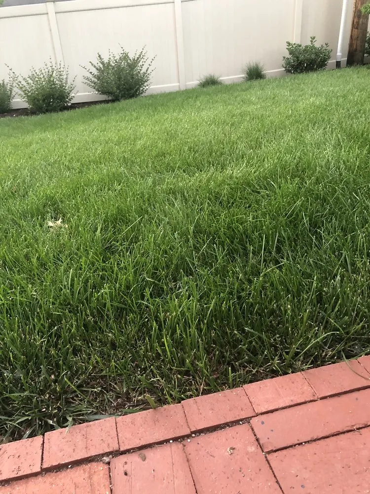 Local lawn mowing service with custom design in St. Louis, MO by Lawn Love Lawn Care - St Louis