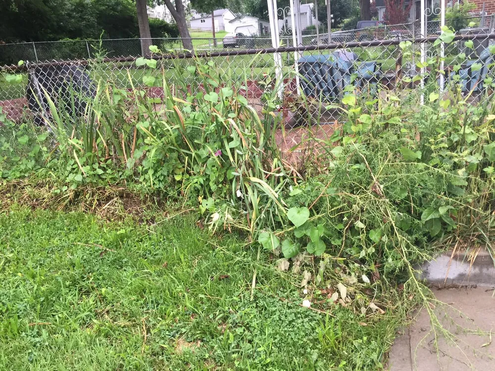 Expert residential landscaping in St. Louis, MO by Lawn Love Lawn Care - St Louis