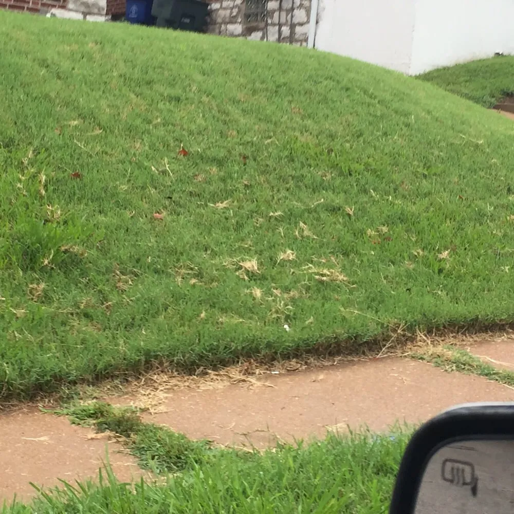 Custom lawn mowing service for homes in St. Louis, MO by Lawn Love Lawn Care - St Louis