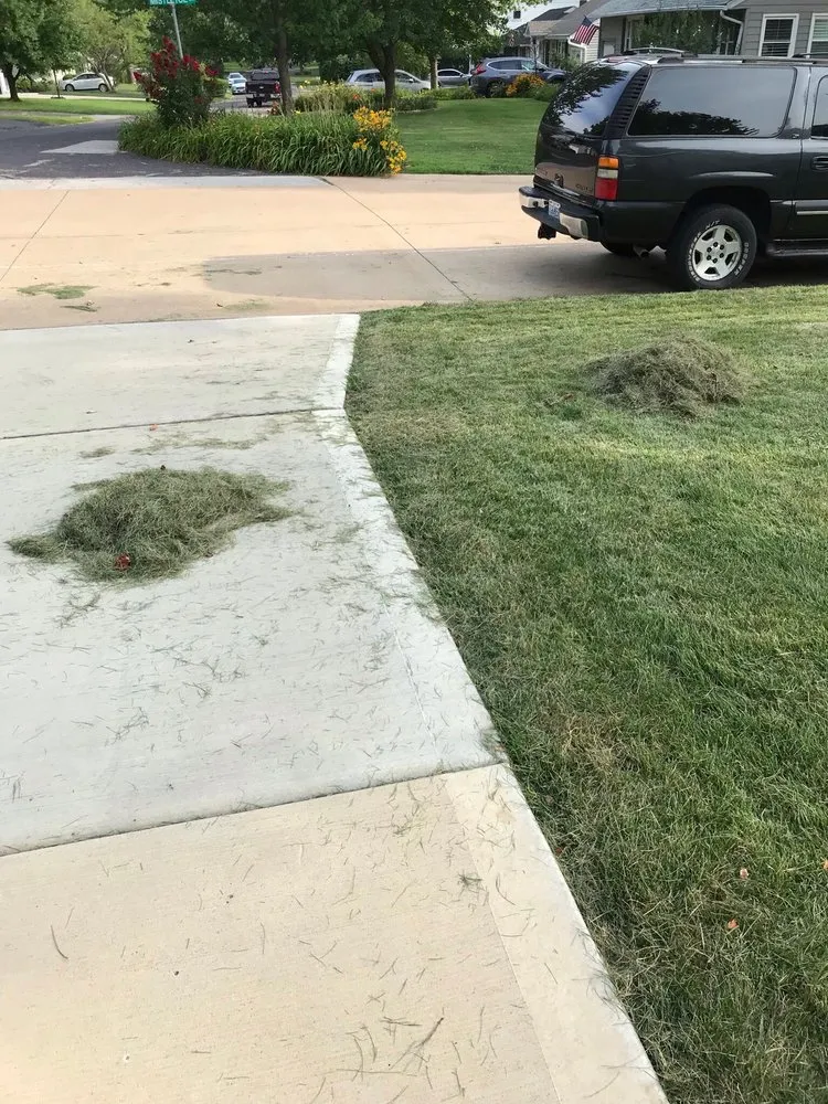 Affordable landscape design in St. Louis, MO by Lawn Love Lawn Care - St Louis