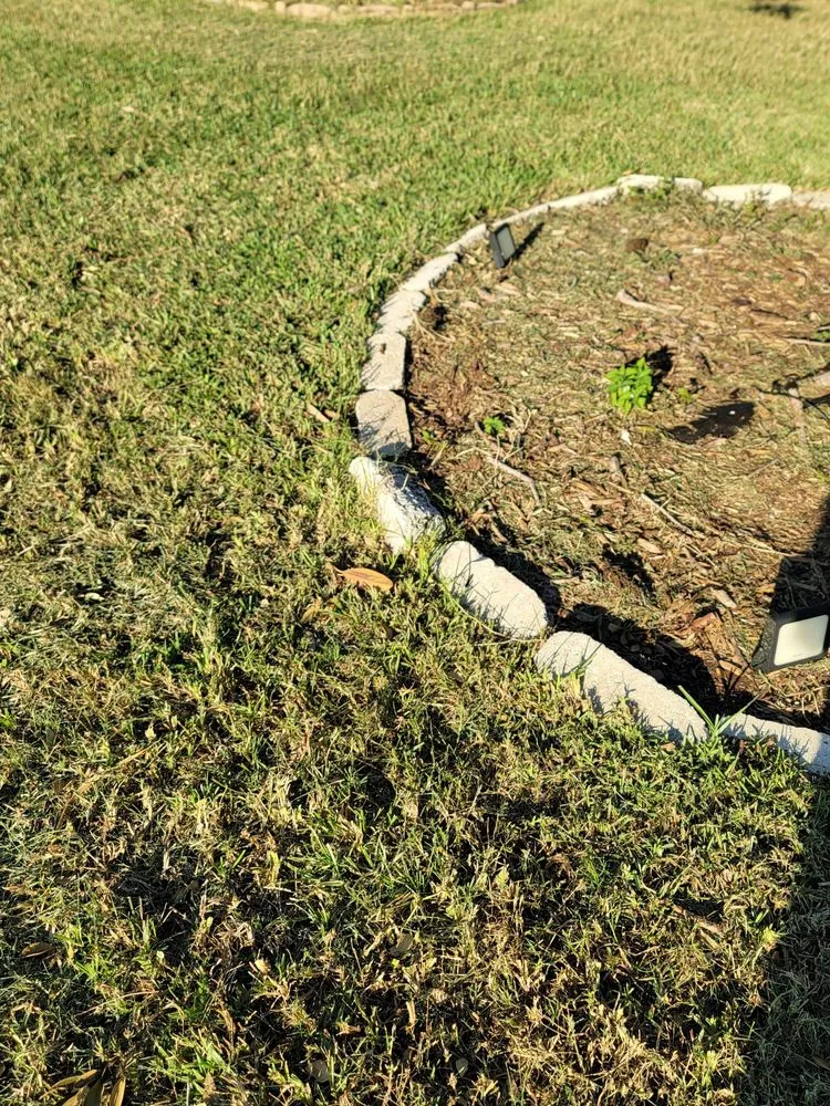 Expert landscape installation with custom design across Tampa, FL - Lawn Love Lawn Care -Tampa