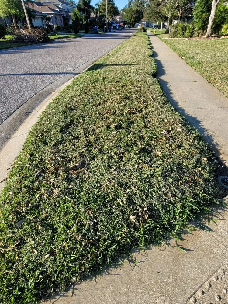 Reliable landscape design in Tampa, FL - Lawn Love Lawn Care -Tampa