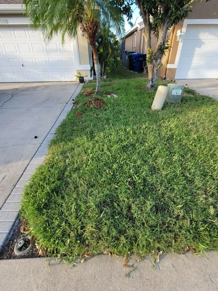 Reliable landscaping services in Tampa, FL - Lawn Love Lawn Care -Tampa