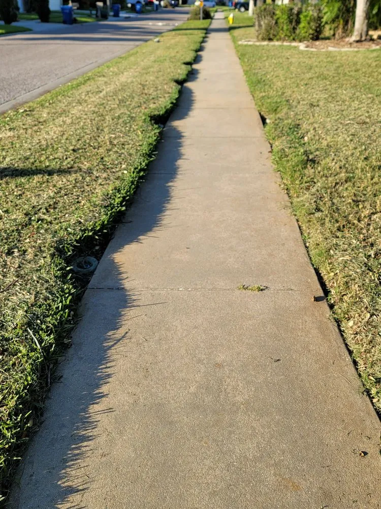 Reliable lawn care service experts serving Tampa, FL - Lawn Love Lawn Care -Tampa