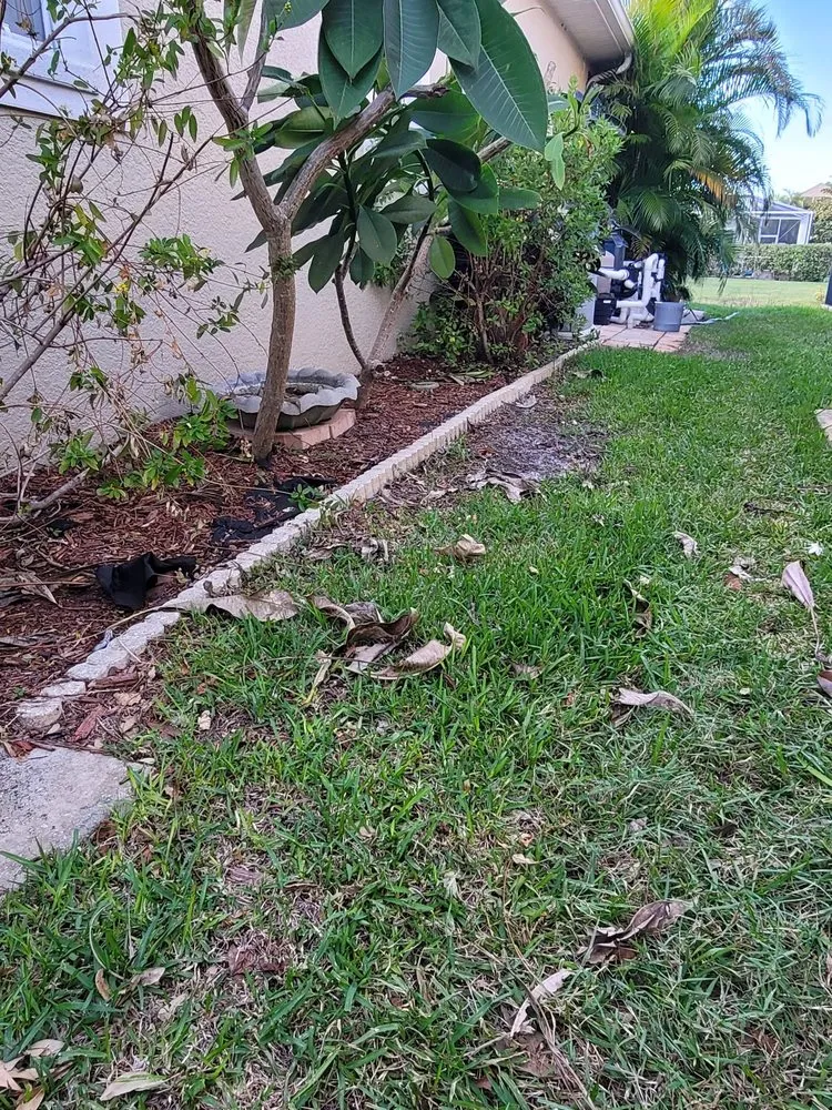 Trusted landscape design in Tampa, FL by Lawn Love Lawn Care -Tampa
