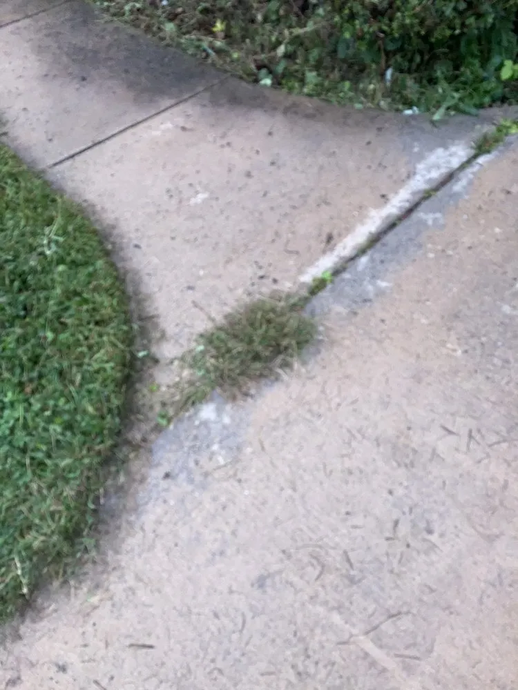 Local yard cleanup service for beautiful yards in Arlington, VA by Lawn Love Lawn Care