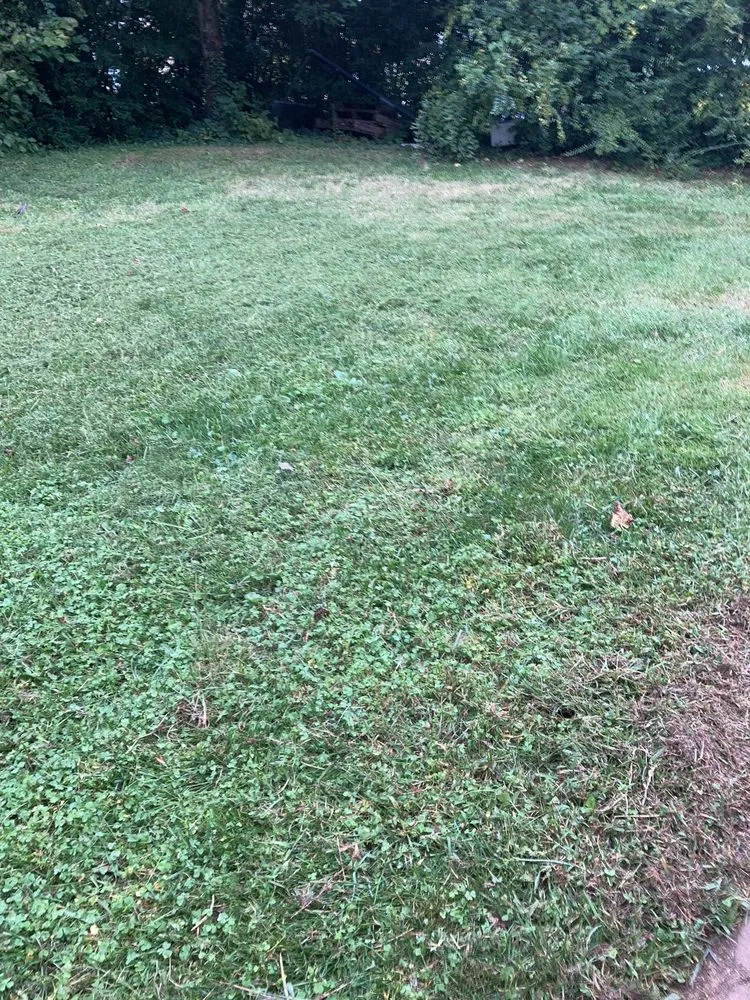 Reliable landscaping services for residential properties across Arlington, VA - Lawn Love Lawn Care