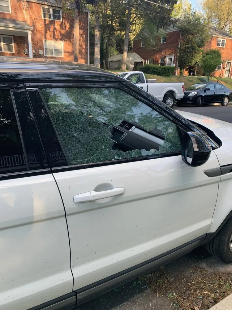 Affordable lawn mowing service experts serving Arlington, VA - Lawn Love Lawn Care