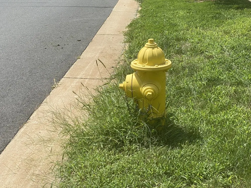 Custom yard maintenance for outdoor upgrades across Arlington, VA - Lawn Love Lawn Care