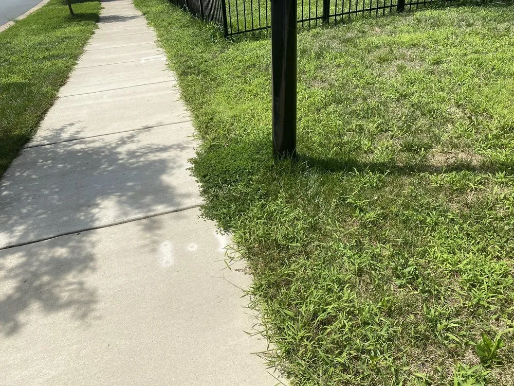 Local yard cleanup service in Arlington, VA - Lawn Love Lawn Care