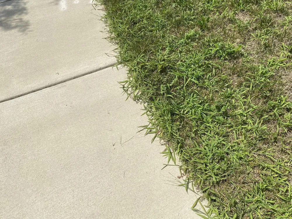 Reliable outdoor landscaping in Arlington, VA by Lawn Love Lawn Care