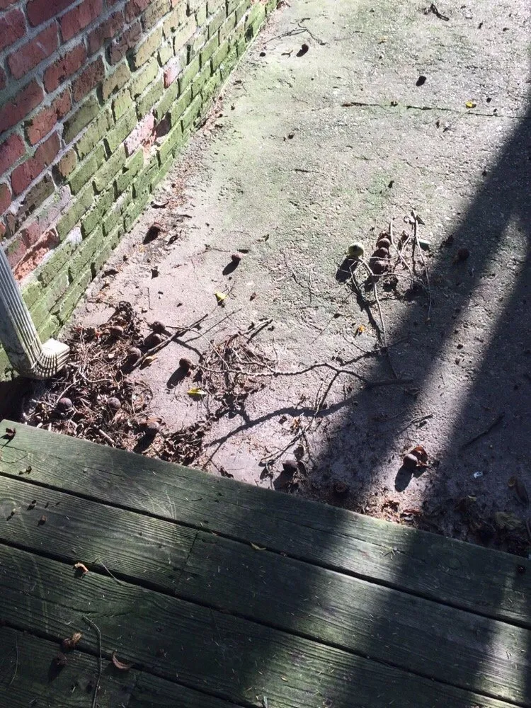 Top-rated landscaping services with custom design across Arlington, VA - Lawn Love Lawn Care