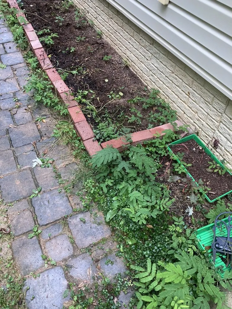 Trusted residential landscaping in Arlington, VA - Lawn Love Lawn Care