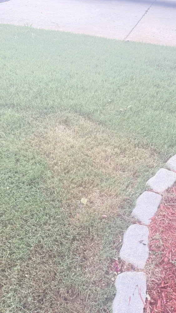 Custom landscaping services in Atlanta, GA by Lawn Love Lawn Care