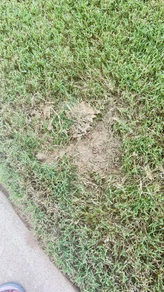 Custom lawn mowing service in Atlanta, GA by Lawn Love Lawn Care