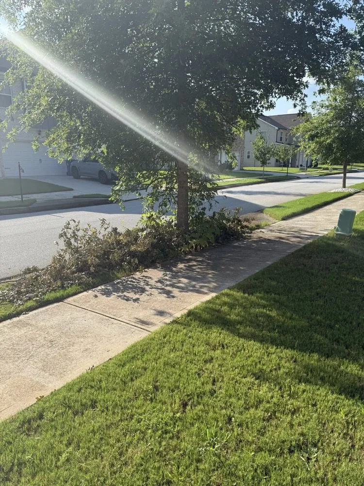 Local yard cleanup service in Atlanta, GA - Lawn Love Lawn Care