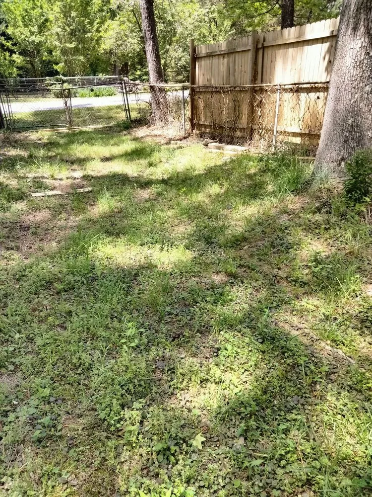 Affordable yard cleanup service for beautiful yards across Atlanta, GA - Lawn Love Lawn Care