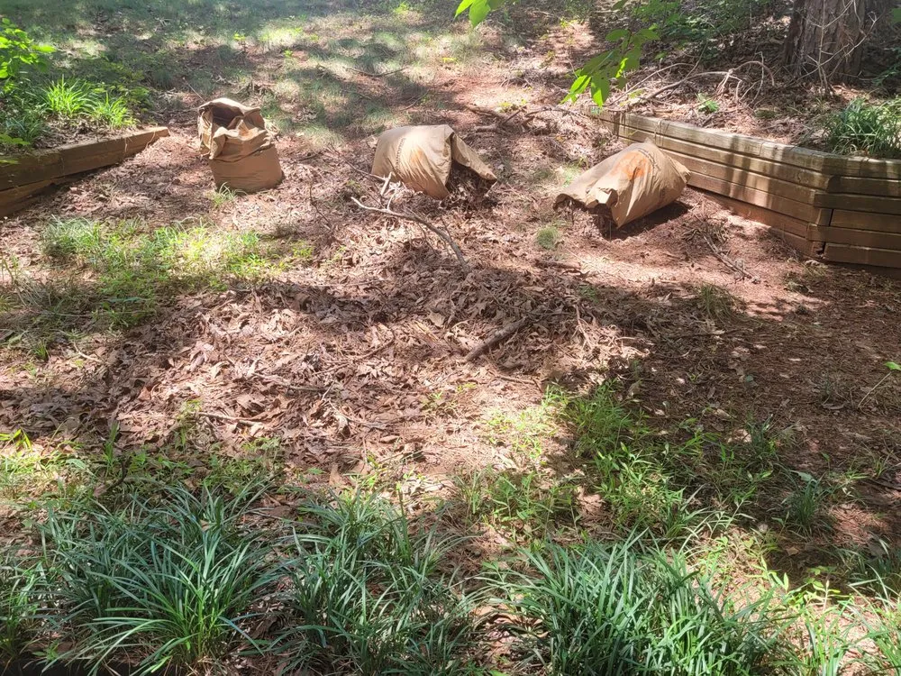 Top-rated yard maintenance in Atlanta, GA by Lawn Love Lawn Care