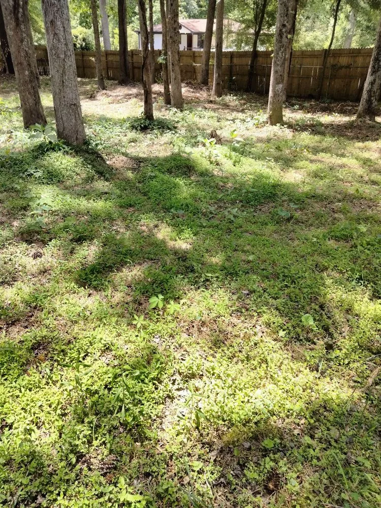 Custom garden landscaping in Atlanta, GA - Lawn Love Lawn Care