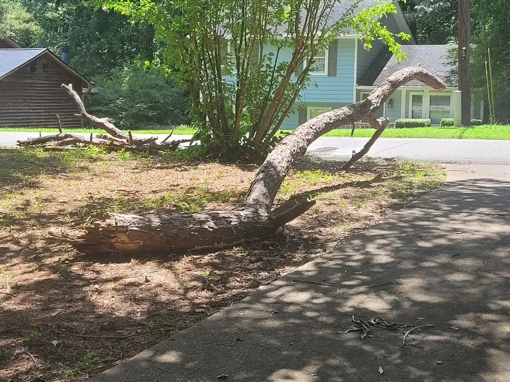 Trusted yard cleanup service in Atlanta, GA - Lawn Love Lawn Care