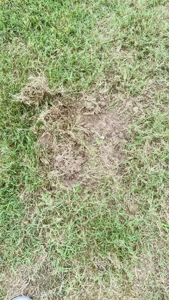 Trusted landscape installation in Atlanta, GA by Lawn Love Lawn Care