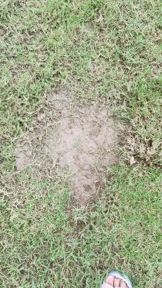 Trusted lawn mowing service for outdoor upgrades in Atlanta, GA by Lawn Love Lawn Care