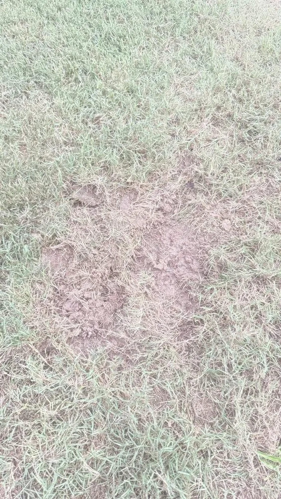 Trusted landscape installation in Atlanta, GA - Lawn Love Lawn Care