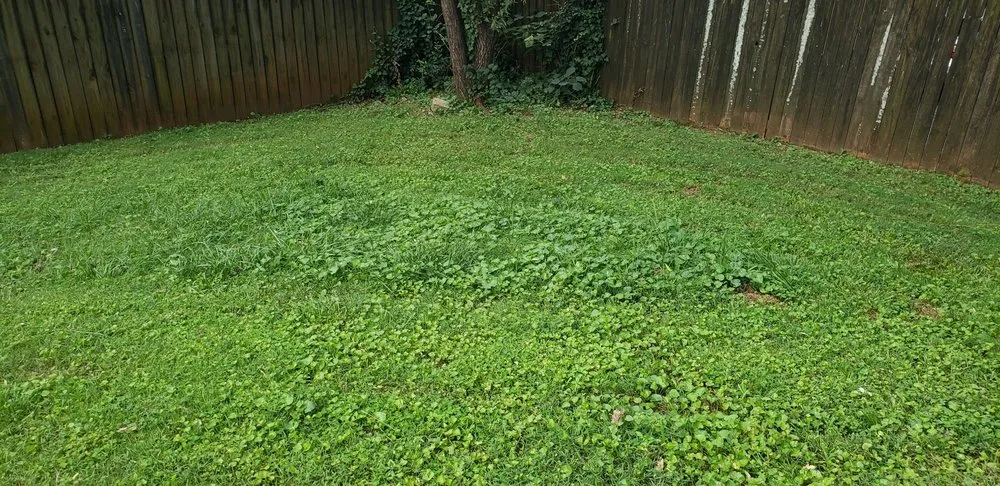 Affordable yard cleanup service in Atlanta, GA by Lawn Love Lawn Care