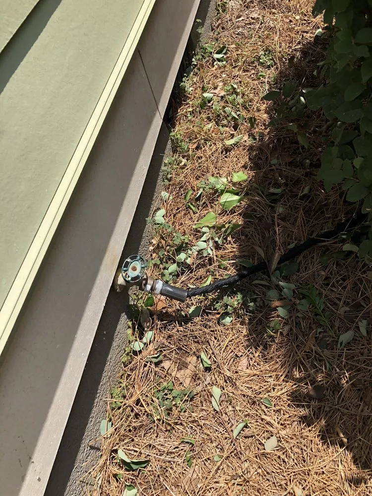 Professional residential landscaping with custom design in Augusta, GA by Lawn Love Lawn Care