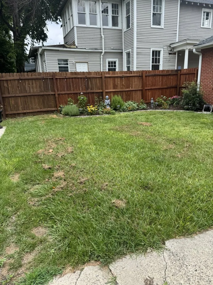 Custom yard cleanup service experts serving Augusta, GA - Lawn Love Lawn Care