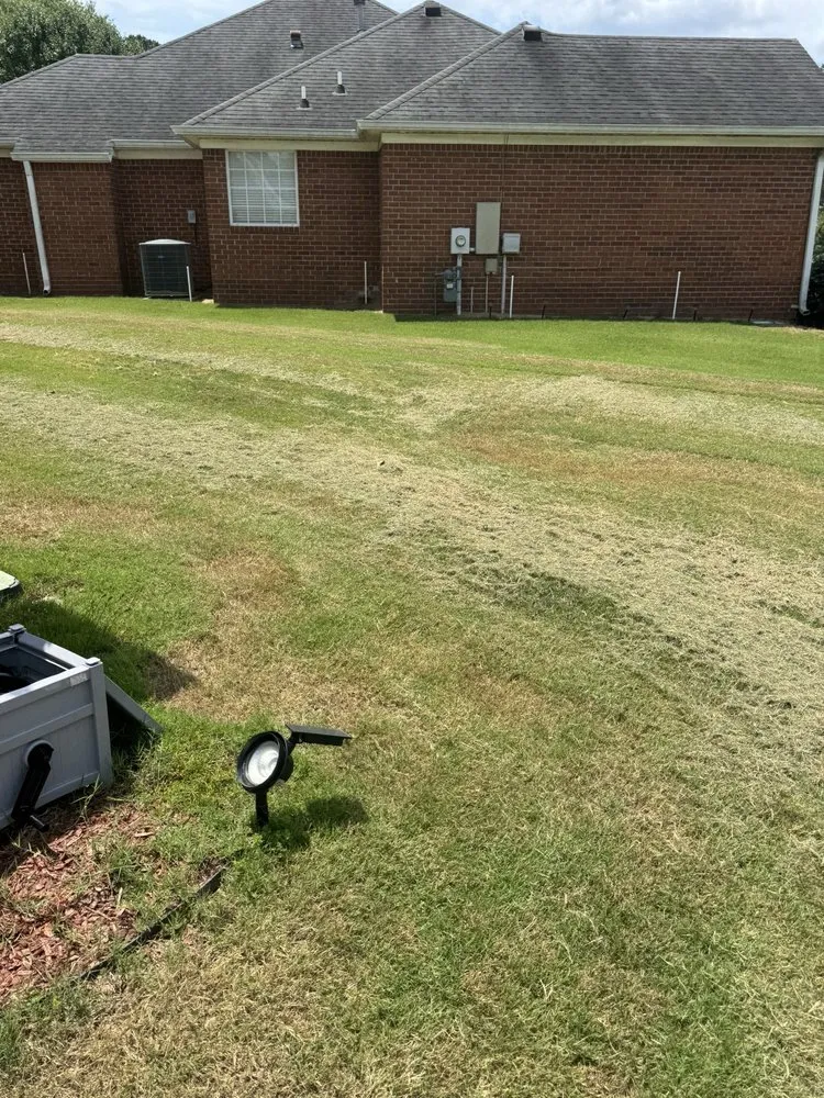 Top-rated residential landscaping experts serving Augusta, GA - Lawn Love Lawn Care