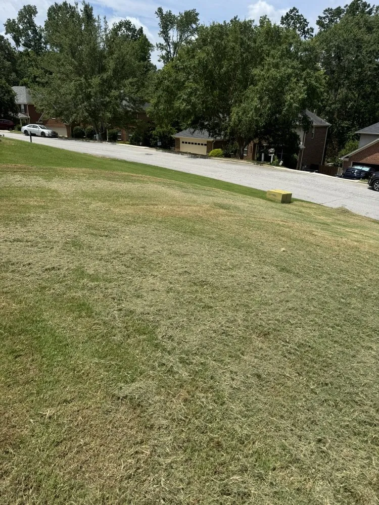 Expert residential landscaping experts serving Augusta, GA - Lawn Love Lawn Care