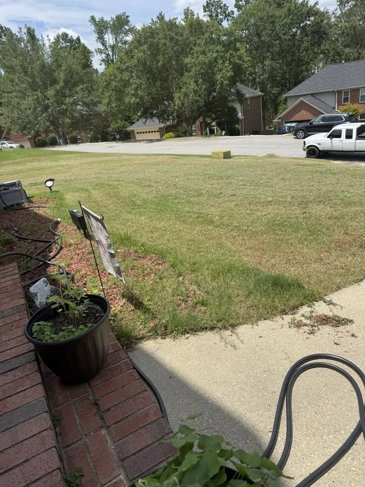 Local landscape installation for homes across Augusta, GA - Lawn Love Lawn Care