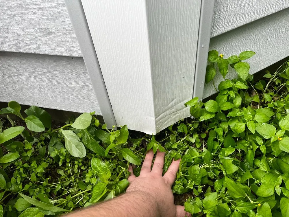 Top-rated lawn mowing service for beautiful yards across Austin, TX - Lawn Love Lawn Care