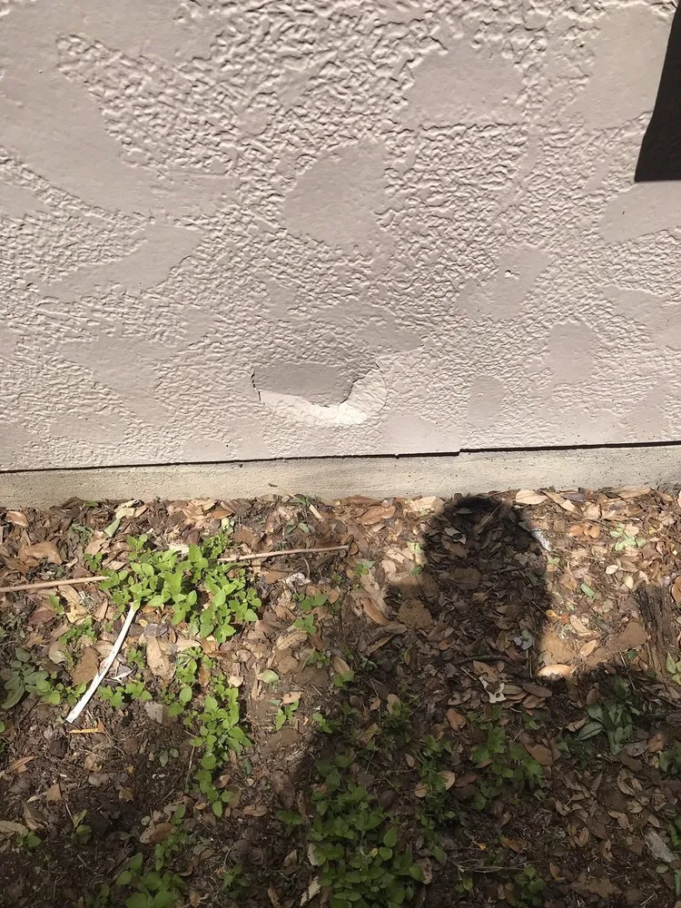 Custom outdoor landscaping experts serving Austin, TX - Lawn Love Lawn Care