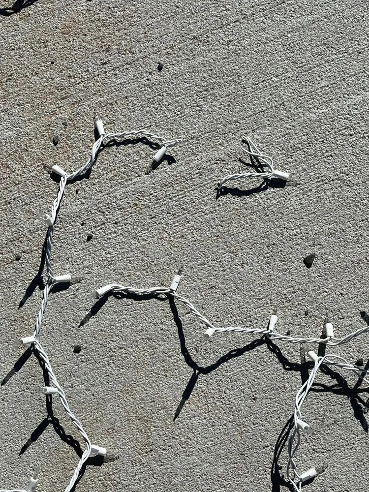 Local residential landscaping experts serving Austin, TX - Lawn Love Lawn Care