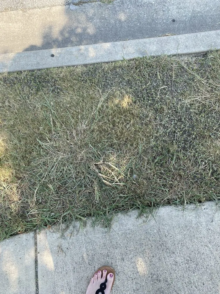 Local garden landscaping with custom design across Austin, TX - Lawn Love Lawn Care