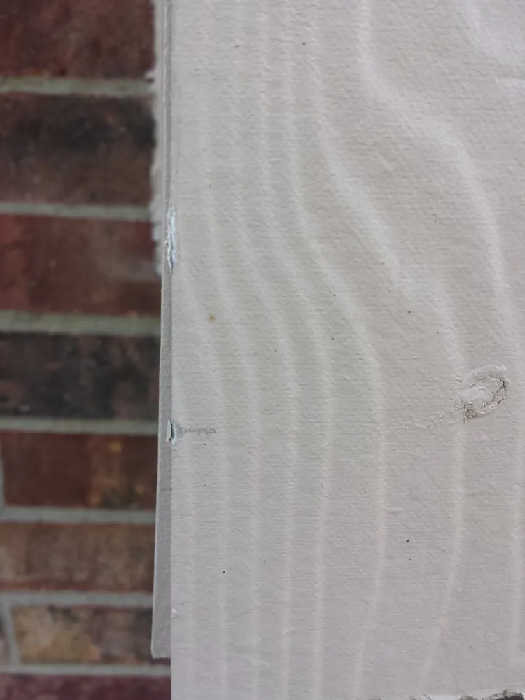 Professional yard cleanup service experts serving Austin, TX - Lawn Love Lawn Care