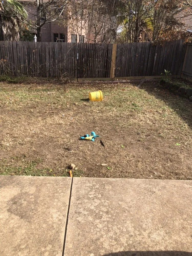 Professional yard maintenance in Austin, TX by Lawn Love Lawn Care
