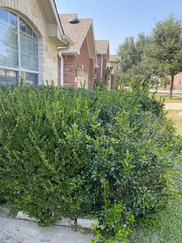 Professional lawn mowing service experts serving Austin, TX - Lawn Love Lawn Care