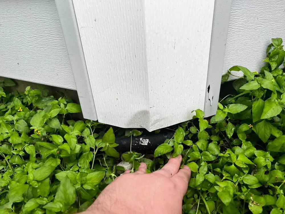 Local landscape design in Austin, TX - Lawn Love Lawn Care