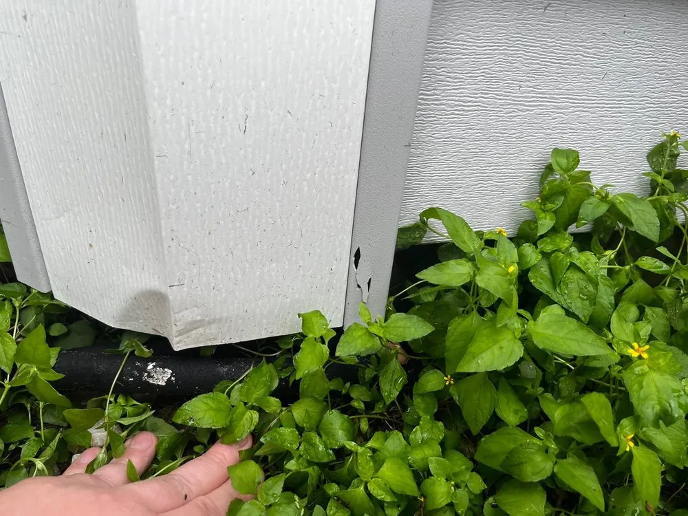 Custom garden landscaping experts serving Austin, TX - Lawn Love Lawn Care