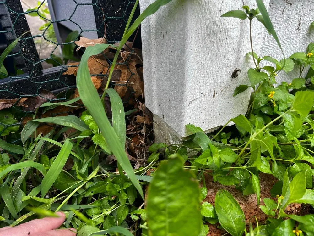 Top-rated landscape installation experts serving Austin, TX - Lawn Love Lawn Care