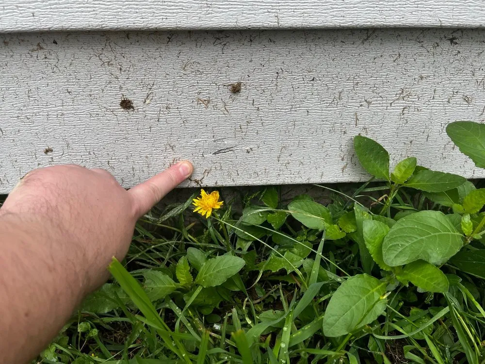 Trusted yard maintenance for homes in Austin, TX by Lawn Love Lawn Care