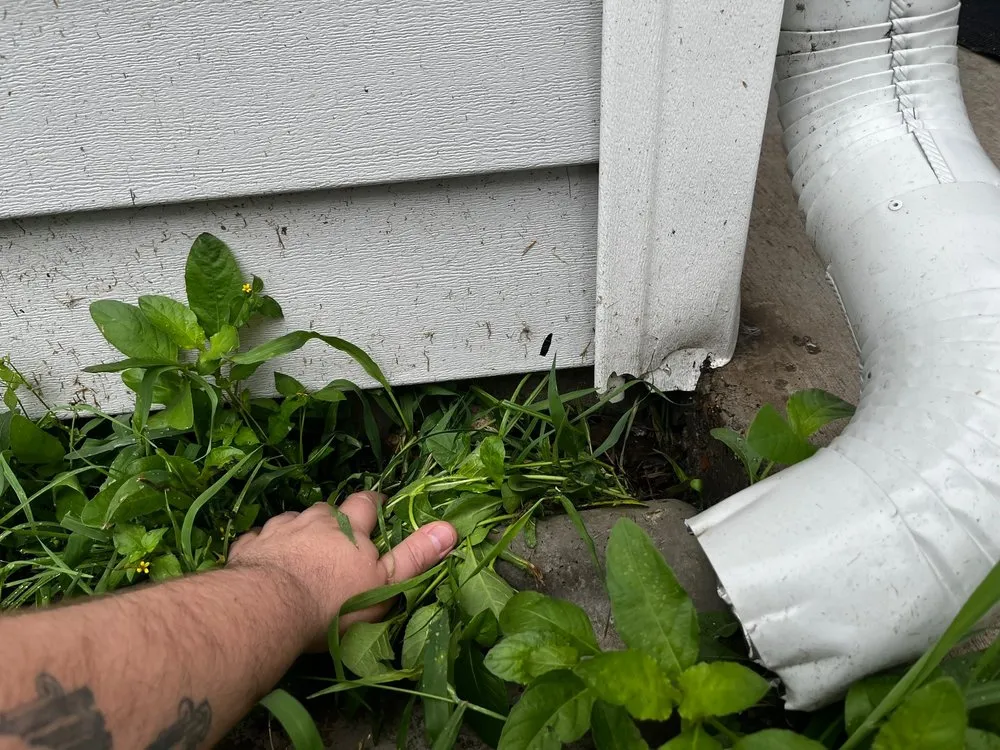 Custom lawn mowing service for year-round maintenance across Austin, TX - Lawn Love Lawn Care