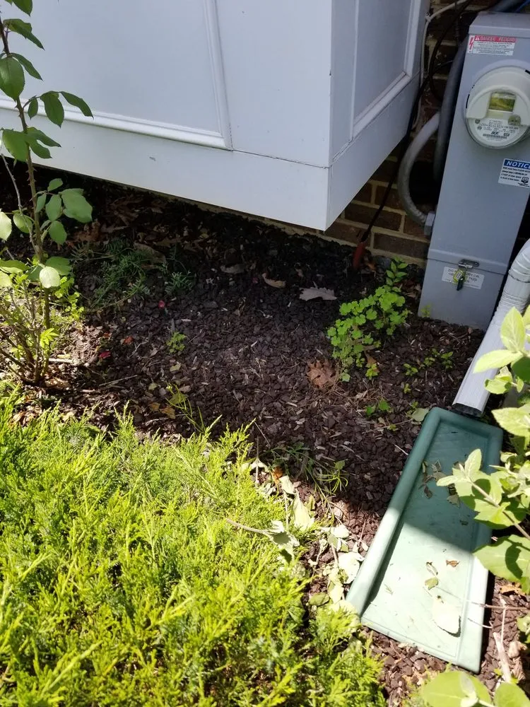 Reliable yard maintenance for outdoor upgrades in Baltimore, MD by Lawn Love Lawn Care