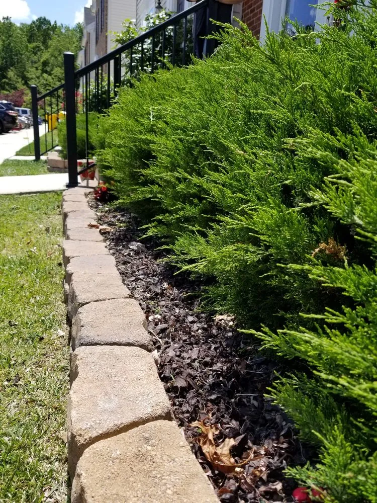 Local outdoor landscaping in Baltimore, MD by Lawn Love Lawn Care
