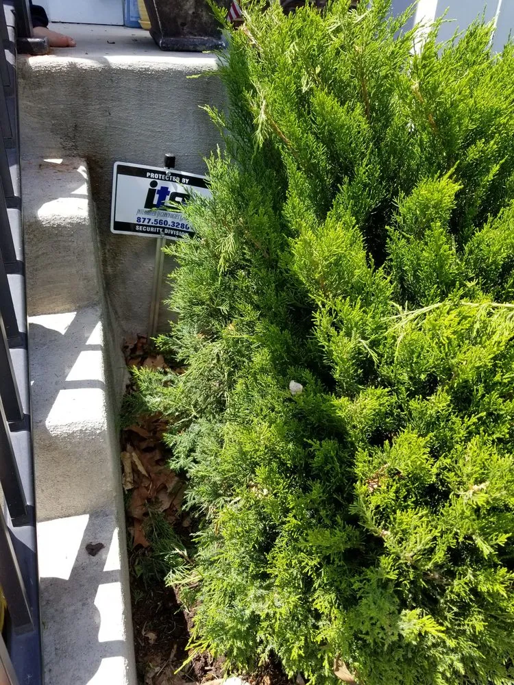 Custom yard cleanup service for residential properties in Baltimore, MD by Lawn Love Lawn Care