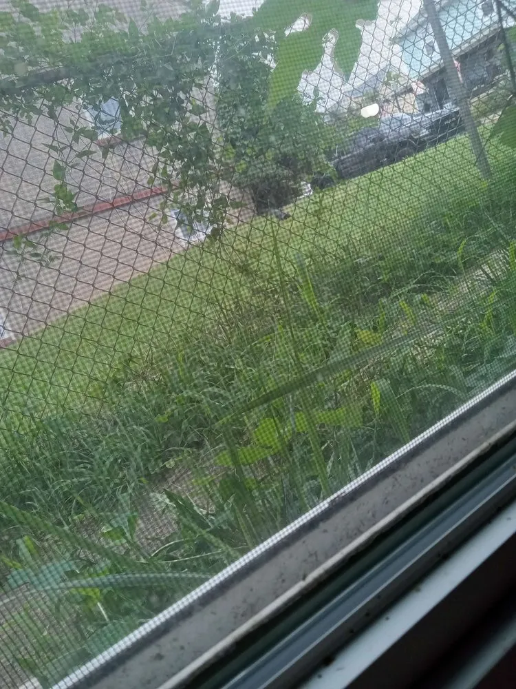 Trusted garden landscaping near you in Baltimore, MD by Lawn Love Lawn Care