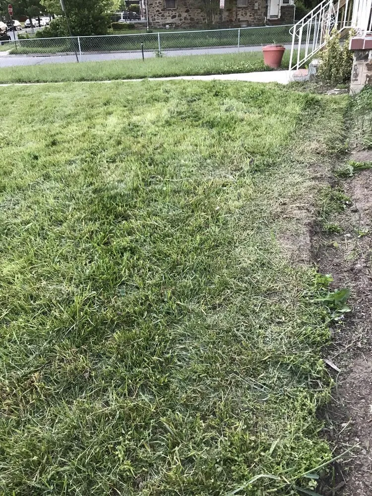 Local outdoor landscaping in Baltimore, MD by Lawn Love Lawn Care